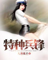 特种兵锋章节列表