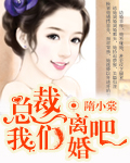 总裁，我们离婚吧章节列表