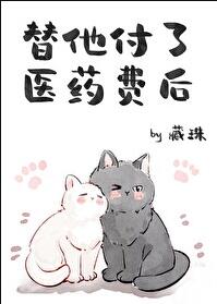 替他付了医药费后章节列表