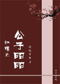 红楼之公子昭昭章节列表