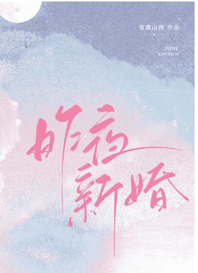 昨夜新婚章节列表