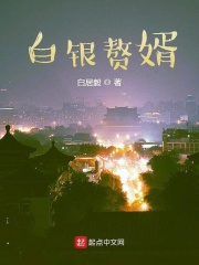 白银赘婿章节列表