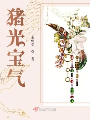 猪光宝气章节列表