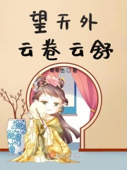 望天外云卷云舒章节列表