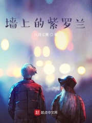 墙上的紫罗兰章节列表