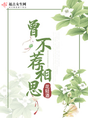 曾不荐相思章节列表