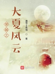穿越之大夏风云章节列表