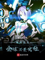 海贼我有全球卫星定位章节列表