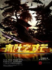 木叶之寸芒章节列表