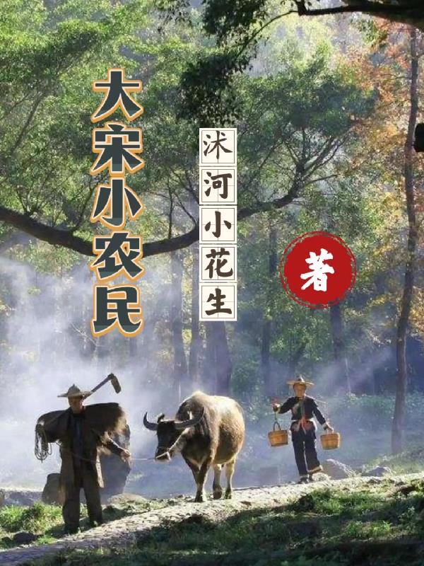 大宋小农民章节列表