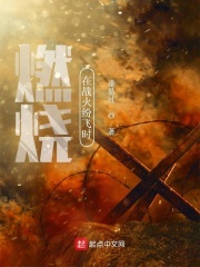 燃烧在战火纷飞章节列表