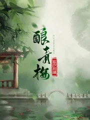 酿青梅章节列表