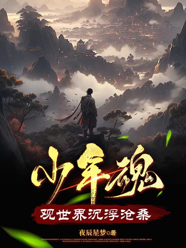 少年魂，观世界沉浮沧桑章节列表