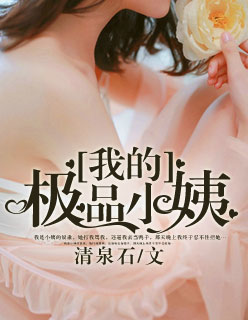 我的极品小姨章节列表