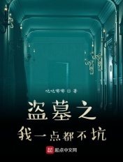 盗墓之我一点都不坑章节列表