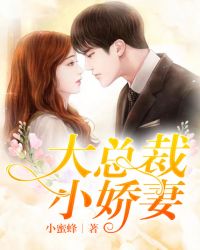 大总裁，小娇妻章节列表