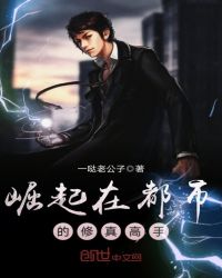 崛起在都市的修真高手章节列表