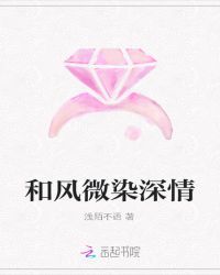 和风微染深情章节列表