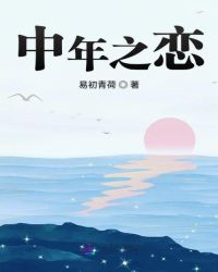 中年之恋章节列表