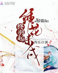 绣花未成终羽起章节列表