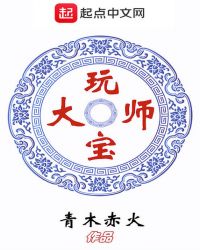 玩宝大师章节列表