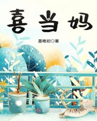 喜当妈章节列表