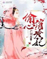 偷心俏冷妃章节列表