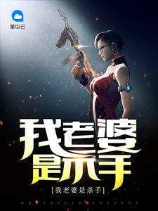 我老婆是杀手章节列表