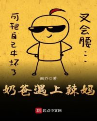 奶爸遇上辣妈章节列表