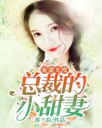 宠妻无度：总裁的小甜妻章节列表