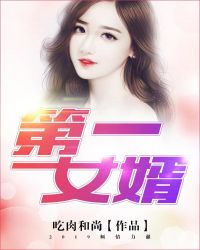 第一女婿章节列表