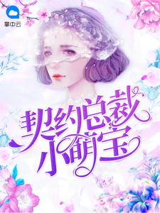 契约总裁小萌宝章节列表