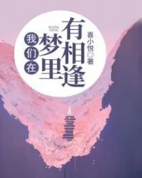 我们在梦里有相逢章节列表