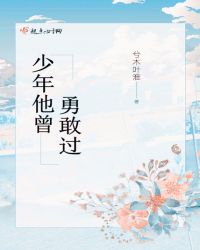 少年他曾勇敢过章节列表