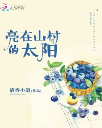 亮在山村的太阳章节列表