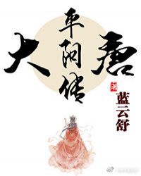 大唐平阳传章节列表