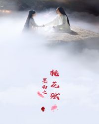 墨白之桃花赋章节列表