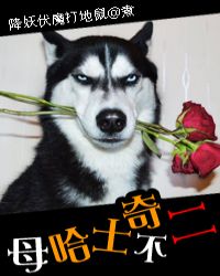 母哈士奇不二！章节列表