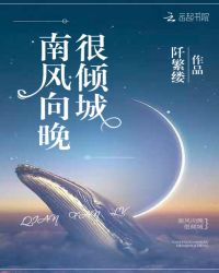 南风向晚很倾城章节列表