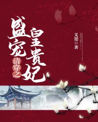 清穿之盛宠皇贵妃章节列表