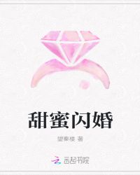 甜蜜闪婚章节列表