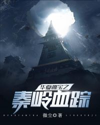 华夏秘宝之秦岭血踪章节列表