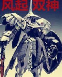 风起双神章节列表