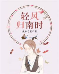 轻风归南时章节列表