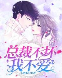 总裁不坏我不爱章节列表