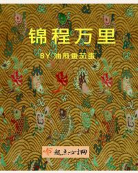 锦程万里章节列表