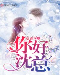 你好，沈总章节列表