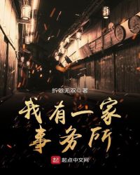 我有一家事务所章节列表