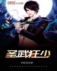 圣武狂少章节列表