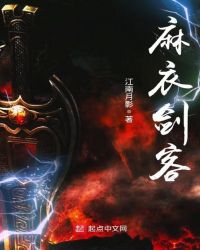 麻衣剑客章节列表
